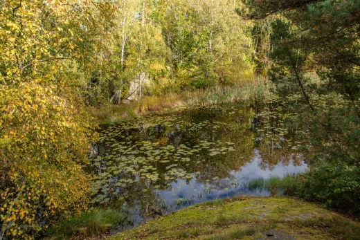 Schweden