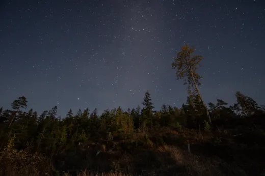 Schweden